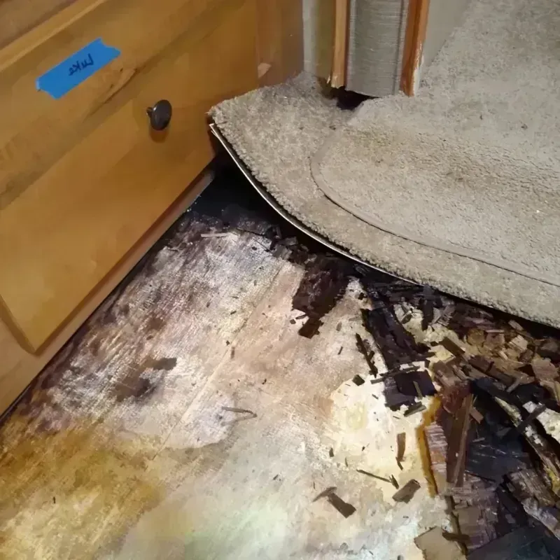 Best Wood Floor Water Damage Service in Los Alamitos, CA